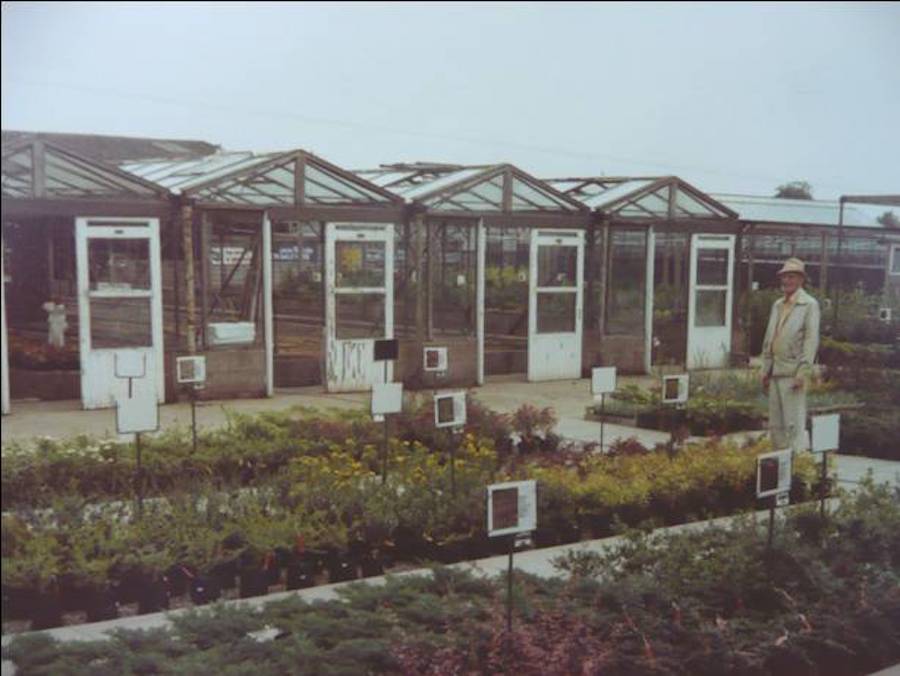 The Palmers Story Palmers Garden Centre Leicestershire’s Best