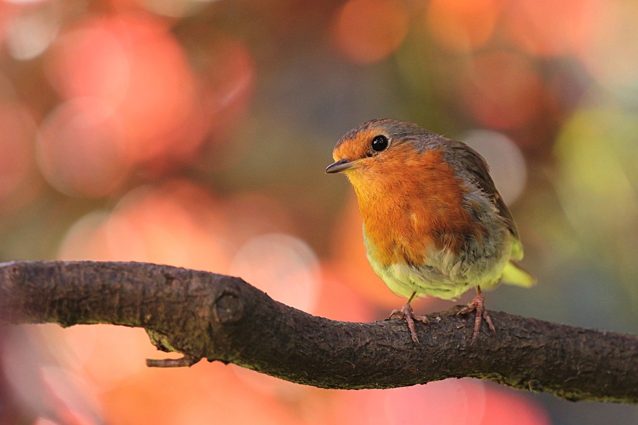 Palmers Garden Centre - Enderby & Ullesthorpe, Leicestershire’s Best Garden Centre