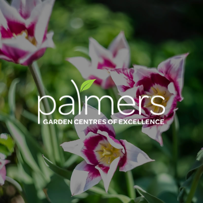 The Palmers Story Palmers Garden Centre Leicestershire’s Best