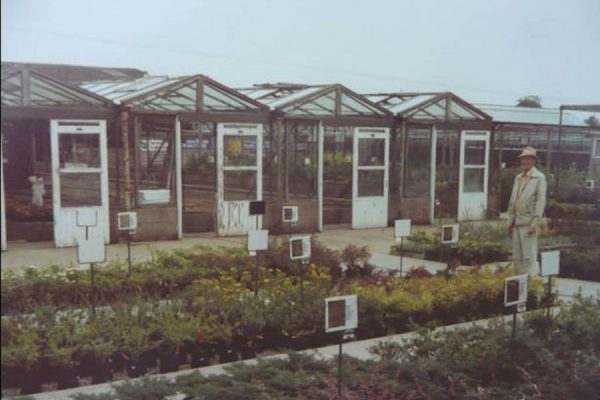 Palmers Garden Centre - Enderby & Ullesthorpe, Leicestershire’s Best Garden Centre