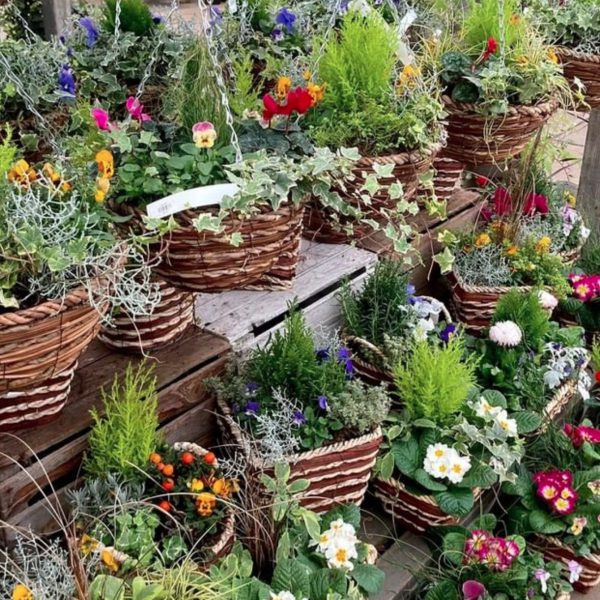 Palmers Garden Centre Enderby & Ullesthorpe, Leicestershire’s Best