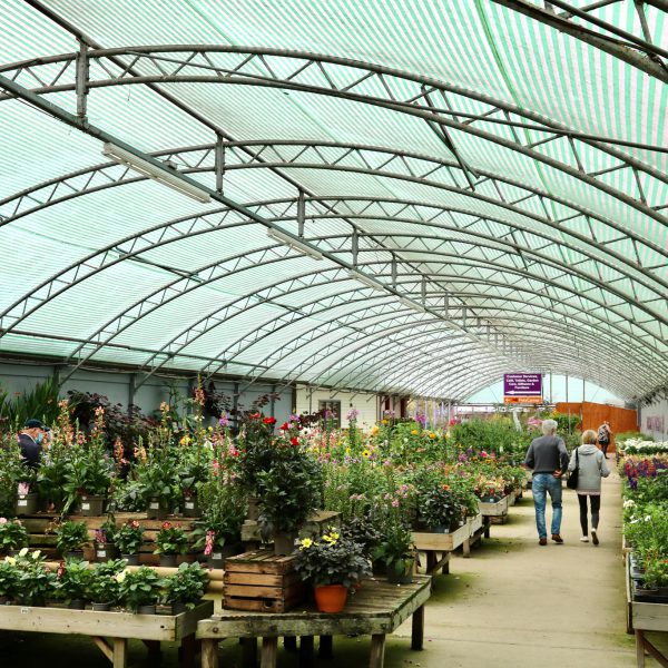 Palmers Garden Centre Enderby & Ullesthorpe, Leicestershire’s Best