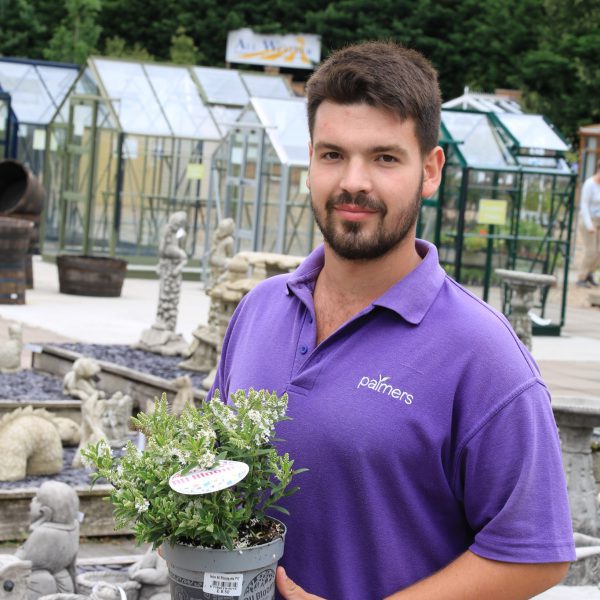 Palmers Garden Centre Enderby & Ullesthorpe, Leicestershire’s Best