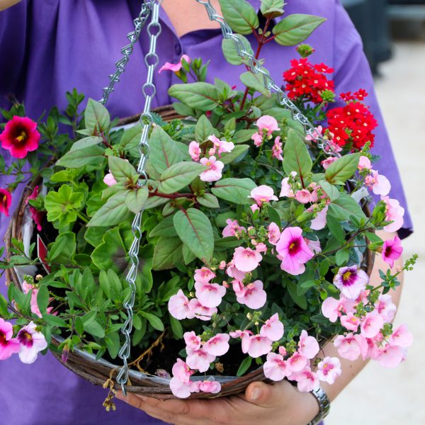 Palmers Garden Centre Enderby & Ullesthorpe, Leicestershire’s Best