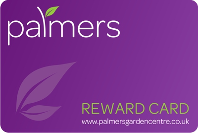 Palmers Garden Centre - Enderby & Ullesthorpe, Leicestershire’s Best Garden Centre