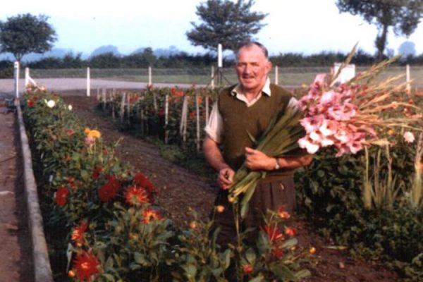 Palmers Garden Centre - Enderby & Ullesthorpe, Leicestershire’s Best Garden Centre